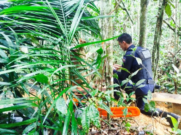 Quatro motosserras são recuperadas após roubo à loja de ferramentas em Cruzeiro do Sul