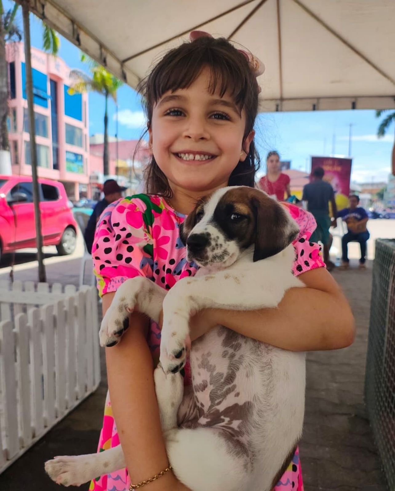 Cruzeiro do Sul: vozes que não se calam pelos animais de rua ganham força neste 4 de abril