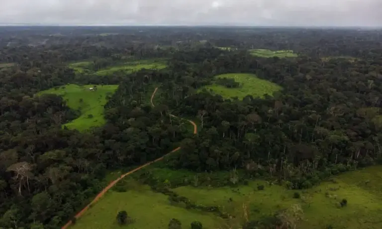 Acre registra queda no desmatamento em 2025 e sai do ranking dos estados mais devastadores do Brasil