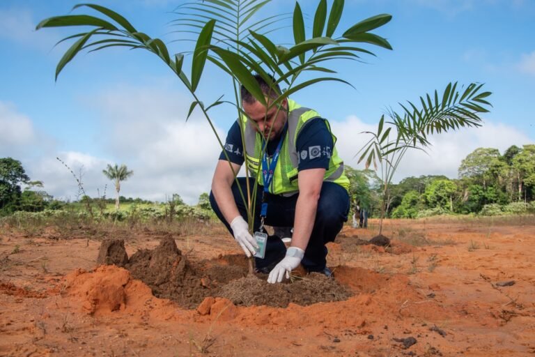 Prefeitura de Cruzeiro do Sul encerrará programa Mês do Meio Ambiente na sexta-feira