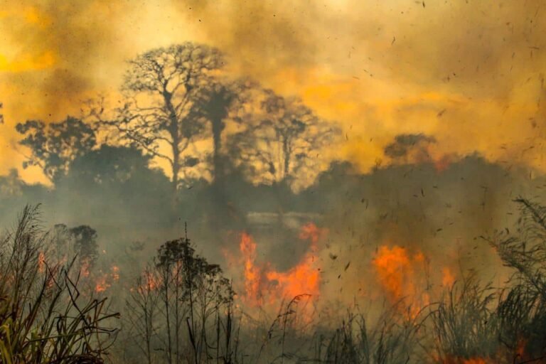 Acre registra menor número de focos de queimadas do Brasil em 2026, aponta Inpe