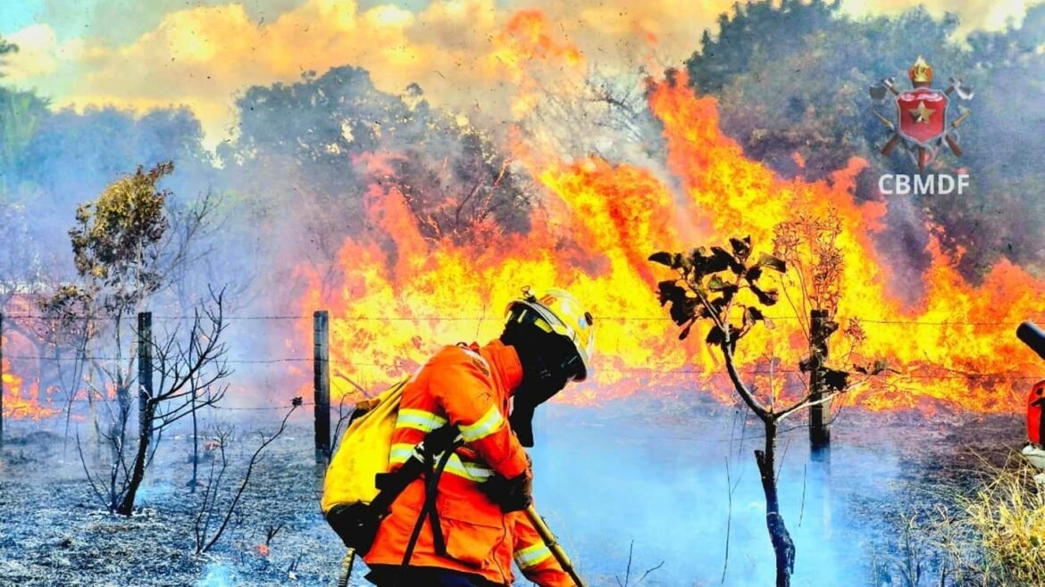 Acre deve receber R$ 45 milhões do BNDES para combate a incêndios