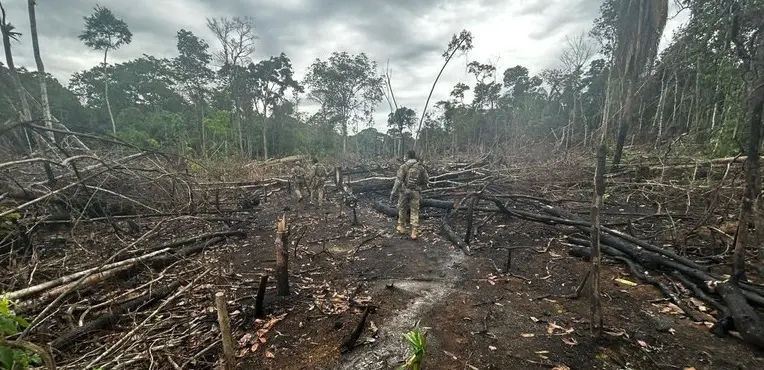 Acre tem duas unidades de conservação e uma terra indígena entre as áreas mais desmatadas da Amazônia, aponta Imazon