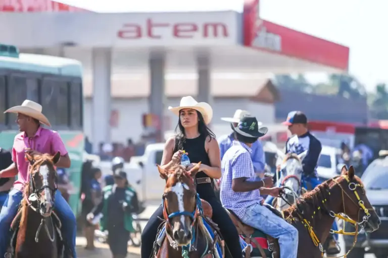 MP cobra fiscalização e regras para garantir bem-estar animal na Cavalgada 2026