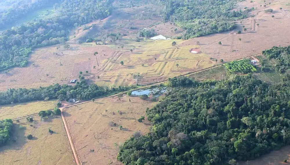 Usando laser, cientistas acham centenas de estruturas de civilização que vivia no Acre