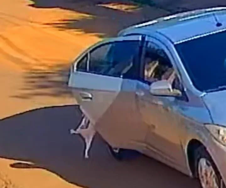 Mãe e filha são soltas após pagamento de fiança por morte de gato atropelado em Rio Branco