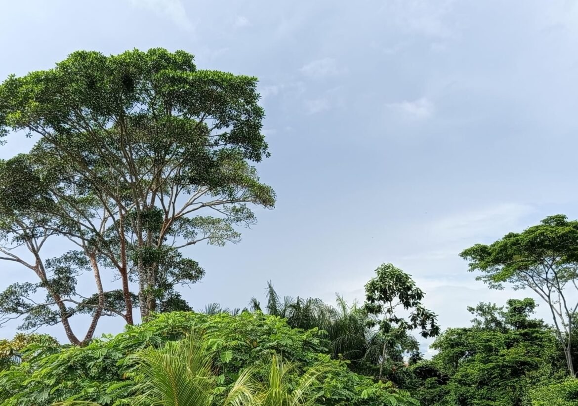 Vale do Juruá terá segunda-feira de calor, tempo seco e possibilidade de chuvas pontuais