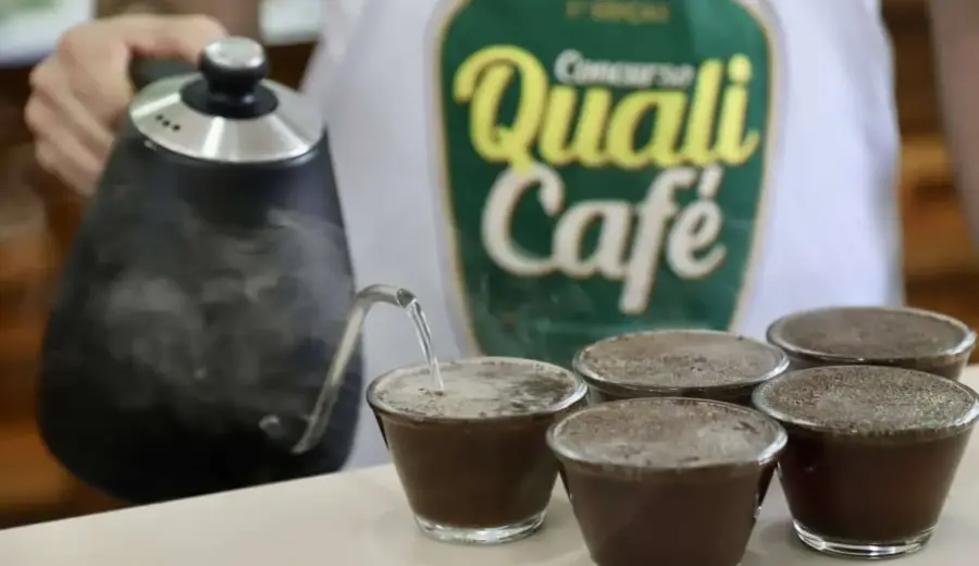 Porto Walter ganha destaque com participação inédita de produtor no QualiCafé 2026