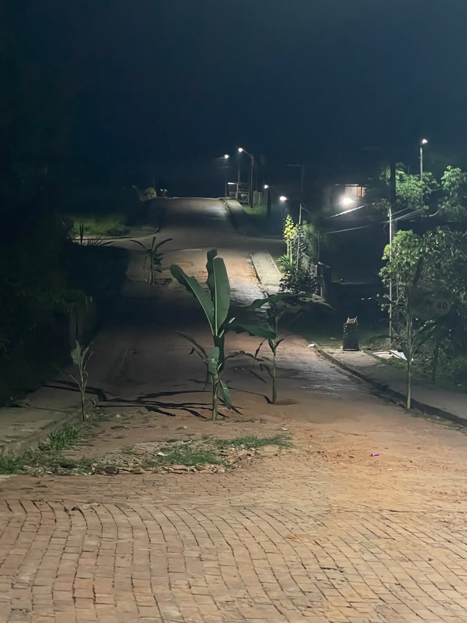 MORADORES PLANTAM BANANEIRAS EM BURACOS E COBRAM PROVIDÊNCIAS EM PORTO WALTER