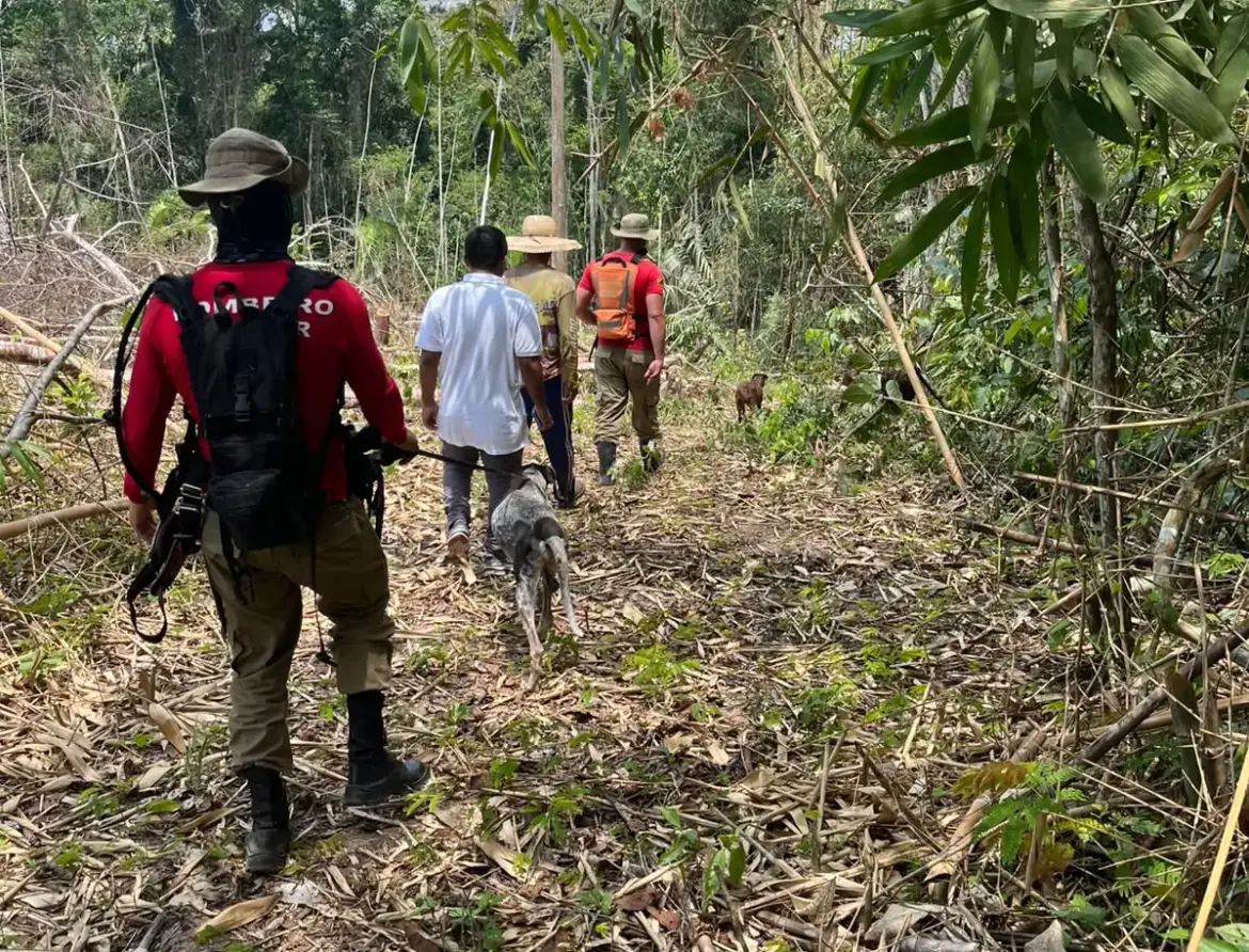Polícia encontra peças de roupa que podem ser de bebê desaparecida