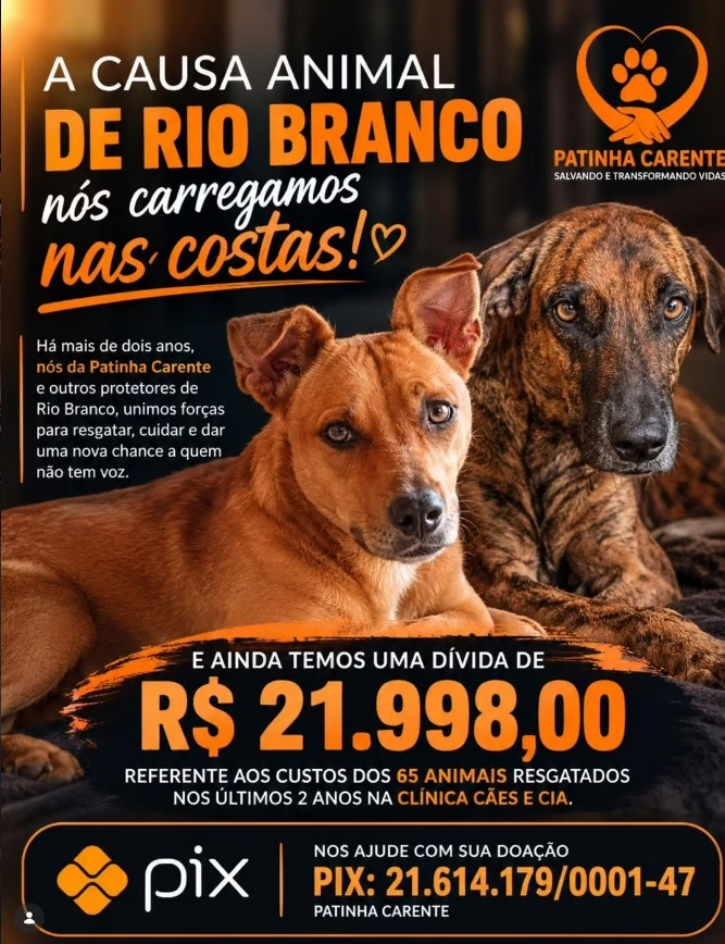 Associação acreana Patinha Carente acumula dívida de quase R$ 22 mil e faz apelo nas redes sociais