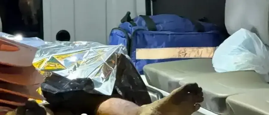 Aposentado de 58 anos morre após ser espancado durante roubo no interior do Acre