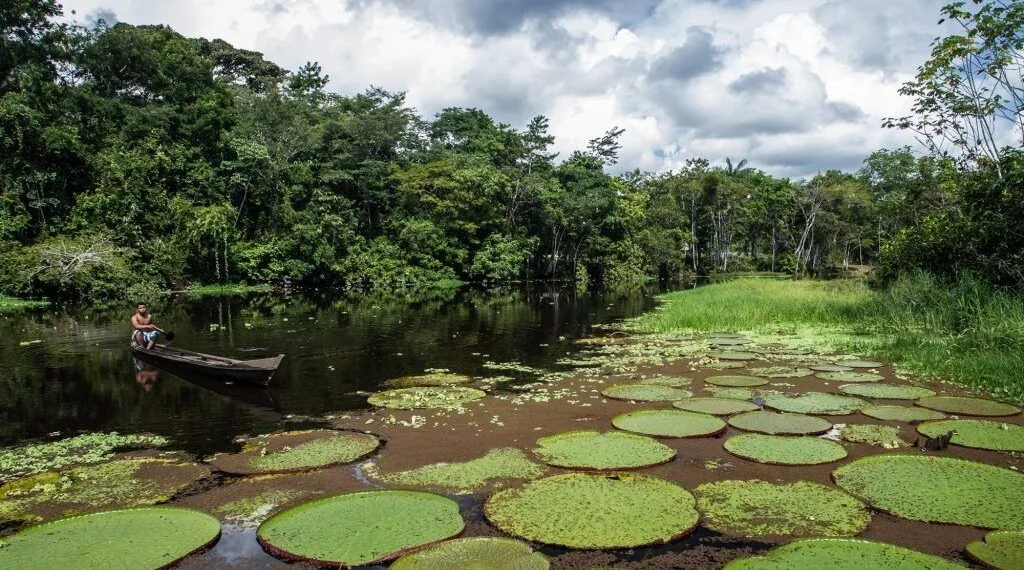 Cruzeiro do Sul tem os melhores indicadores de meio ambiente do Acre