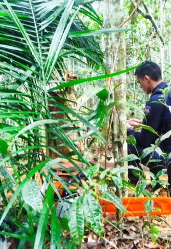 Quatro motosserras são recuperadas após roubo à loja de ferramentas em Cruzeiro do Sul