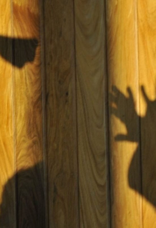 Mulher sofre várias lesões após ser agredida pelo companheiro durante discussão em Cruzeiro do Sul