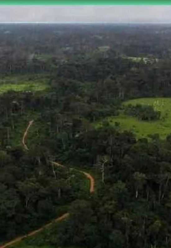 Dois homens desaparecem após se perderem na mata em Cruzeiro do vale