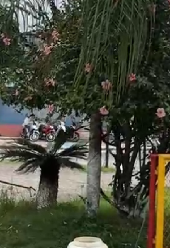 Cobra de cerca de 1 metro assusta pessoas na praça no centro de Cruzeiro do Sul