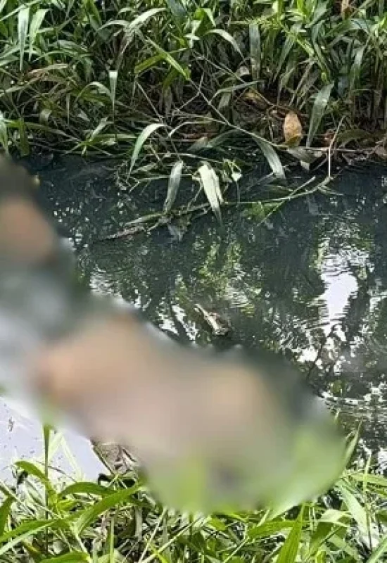 Corpo de homem é encontrado em córrego de esgoto