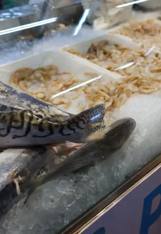 Vigilância Sanitária orienta sobre compra de pescado na Semana Santa