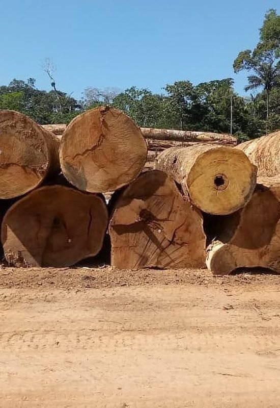 Exploração de madeira no Acre cai quase pela metade e atinge 100% de legalidade, aponta levantamento