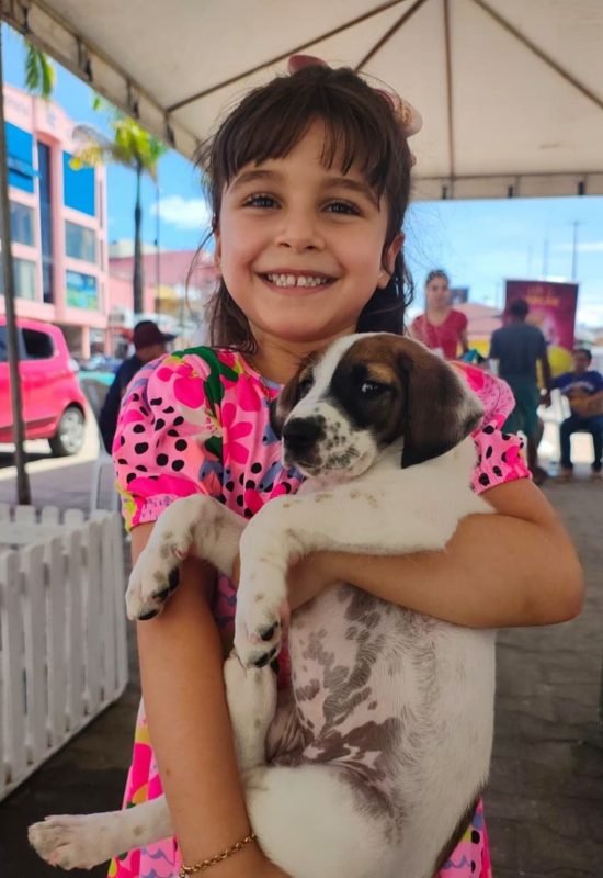 Cruzeiro do Sul: vozes que não se calam pelos animais de rua ganham força neste 4 de abril