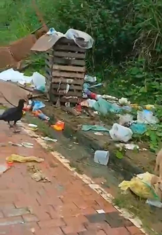 Moradores denunciam abandono e acúmulo de lixo em rua de Porto Walter