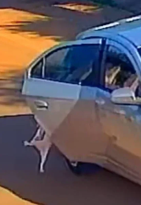 Mãe e filha são soltas após pagamento de fiança por morte de gato atropelado em Rio Branco