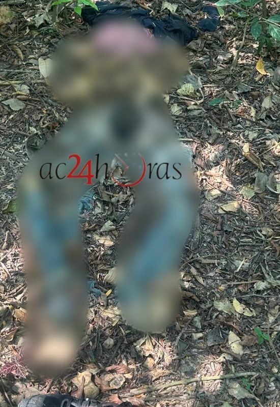 Ossada humana é encontrada em área de mata no Portal da Amazônia