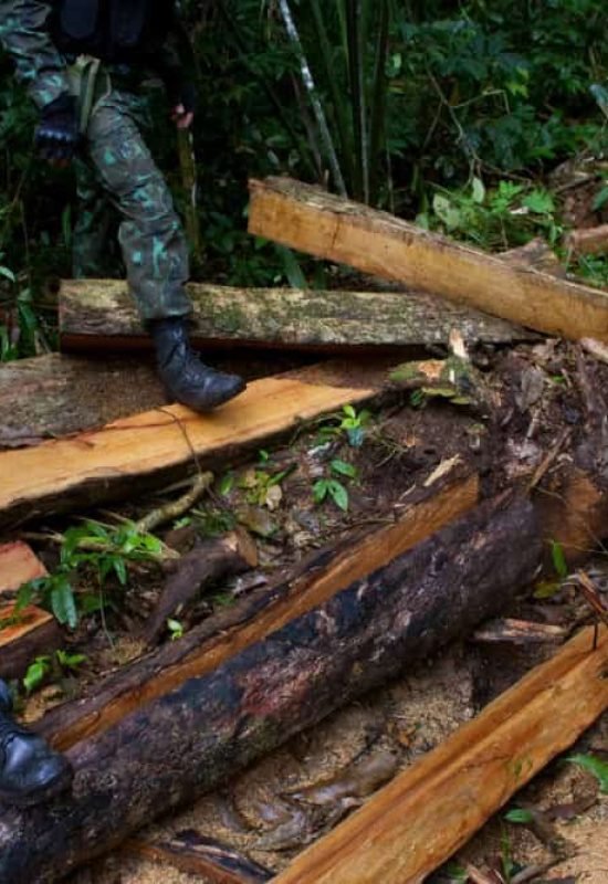 Violência na Amazônia cresce com avanço do crime organizado e atividades ilegais, aponta estudo