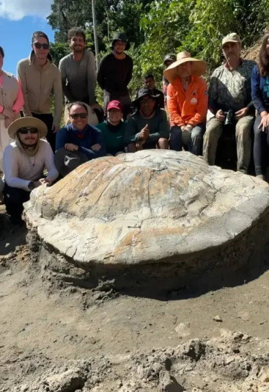 Como pesquisadores chegaram ao fóssil de tartaruga gigante no Acre
