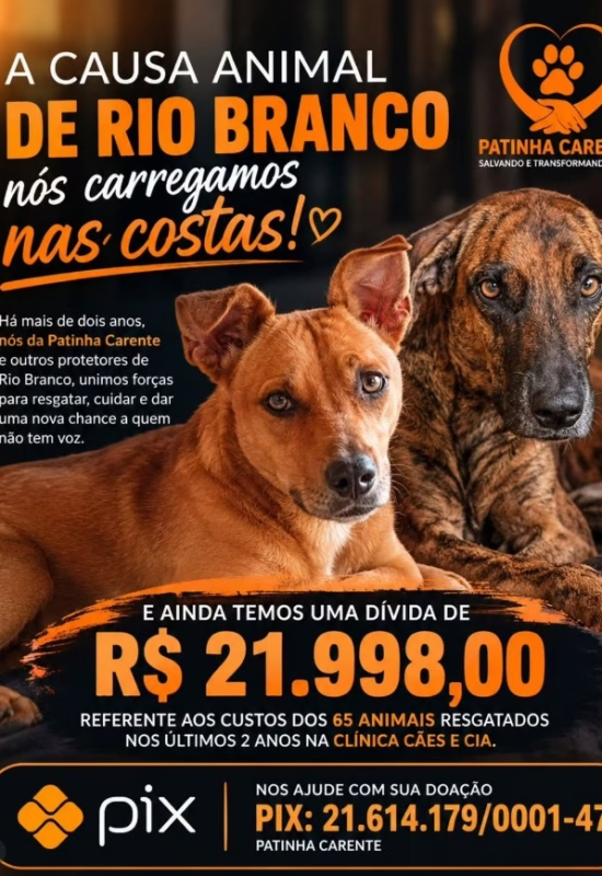 Associação acreana Patinha Carente acumula dívida de quase R$ 22 mil e faz apelo nas redes sociais