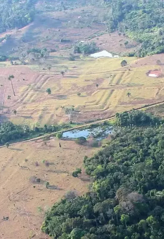 Usando laser, cientistas acham centenas de estruturas de civilização que vivia no Acre