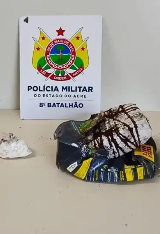 PM apreende mais de meio quilo de drogas em abordagem na BR-364