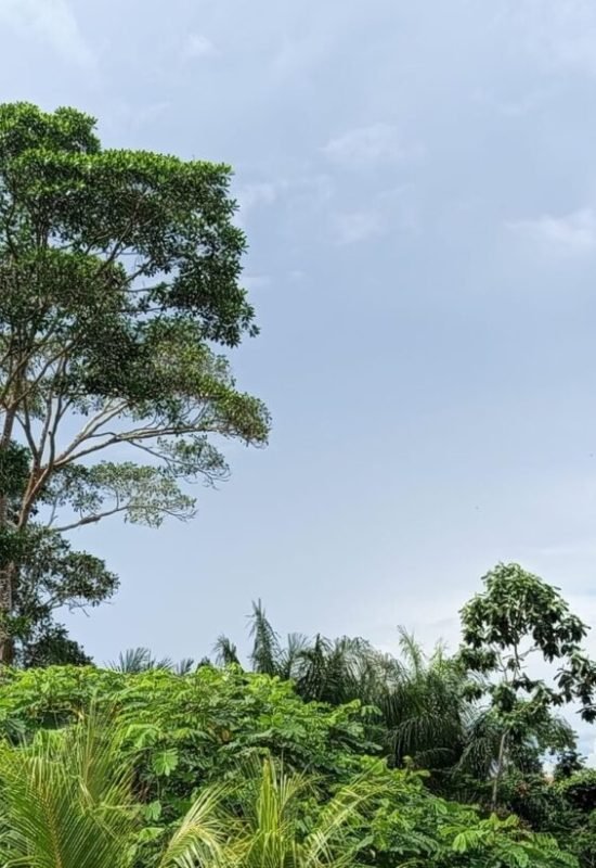 Vale do Juruá terá segunda-feira de calor, tempo seco e possibilidade de chuvas pontuais
