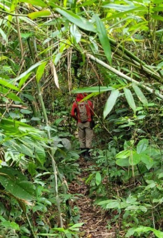 Trabalhadores rurais saem para caçar e desaparecem em área de mata